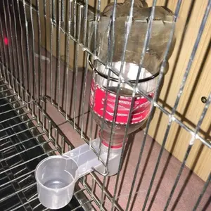 Plastic Pet Bird Drinker Feeder Water Bottle Cup Cat Chicken Pigeon Parrot Hamster Double Nozzle Water Guide Poultry Feeder Cups For Family Garden Bird Supplies