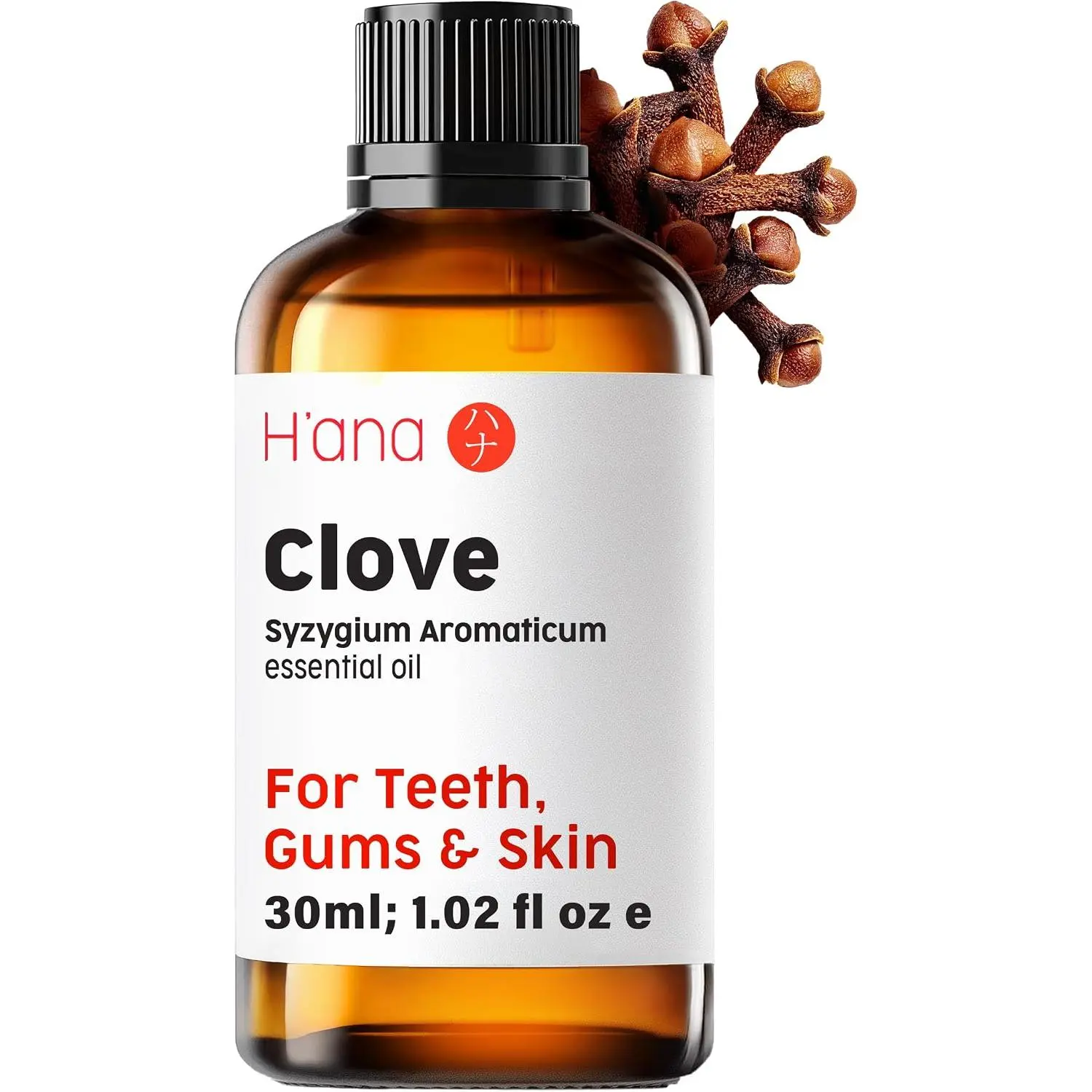 H'ana Clove Essential Oil for Aromatherapy, 1.02 Fl Oz | India-grown clove bud, single ingredient, warm spicy aroma, DIY candles & soap, hair & skin, dilute before use