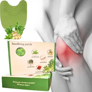 72Pcs Knee Patches Natural Wormwood Extract Sticker for Knee, Back, Neck, Shoulder Herbal Daily Gentle