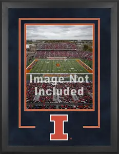 Illinois Illini Deluxe 16" x 20" Vertical Photograph Frame with Team Logo