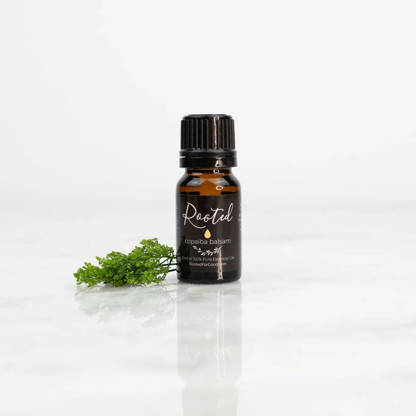 Copaiba Balsam Essential Oil, Aromatherapy, Soothing