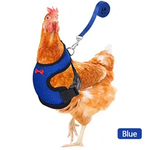 Fashion Chicken Duck Vest Hen Belt Pet Harness Matching Collars Bow Comfortable Leads Mesh Breathable Poultry Supplies Leash