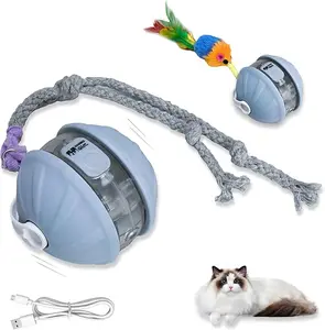 Interactive Cat Toys,Smart Cat Toy Balls,Speedy Tail Cat Toy for Indoor Cats, Automatic Moving Cat Ball Toys with LED Rainbow Lights and Color Mouse Toys