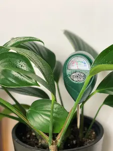 Moisture Meter
