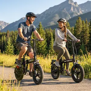 Tomofree 750W Folding Electric Bike, 48V 20AH Removable Battery, 20-25MPH, 14''x 2.1'' Tire, 25-35miles PAS, 200lbs Load Ebike for Adult, Adult Electric Bicycles for Commute