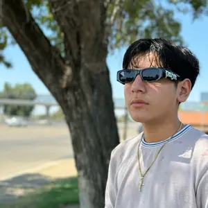 Palm sunglasses unisex