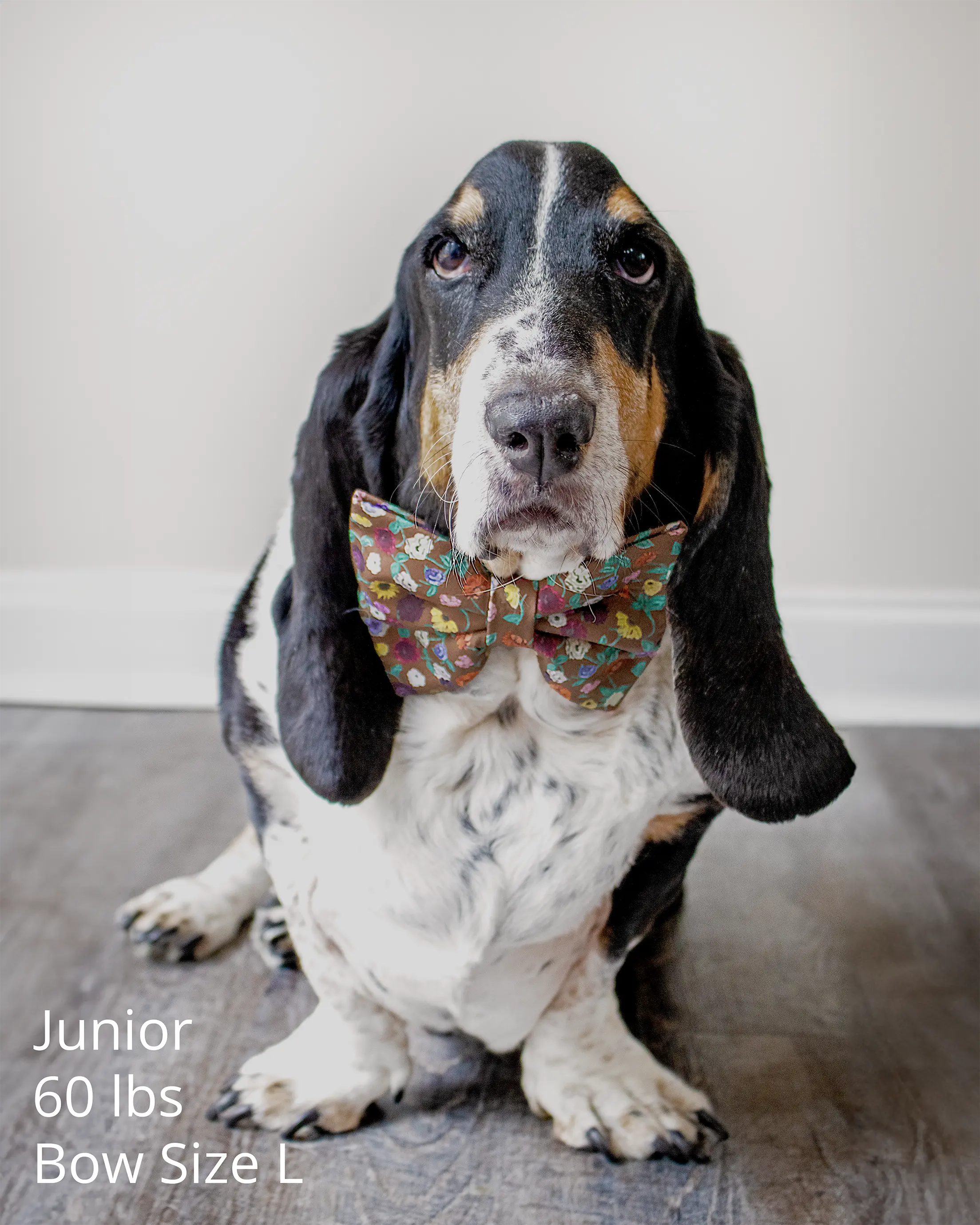 Acoustic Piano Floral Bow Tie