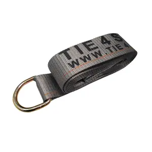 2" x 10' Winch Strap w/ D-ring For Tarps Tie Down Grey