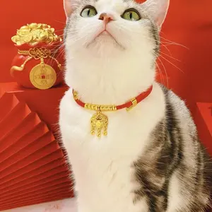 2026 CNY Pet Gift Box Premium Chinese Lucky Lock Collar for Cats & Dogs Anti-allergy Photo Prop & Daily Wear Festive Jewelry