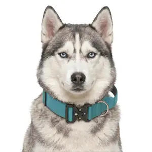 Teal Heavy Duty Dog Collar for Husky, Escape Proof Light Blue Pet Gear with Metal Buckle, Strong Control Handle Comfort Collar for Large Breeds, No-Pull Premium Gear for Heavy Pullers