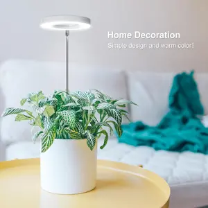 Flexible Gooseneck Plant Light with 4 Brightness Settings - For The Discerning Indoor Gardener