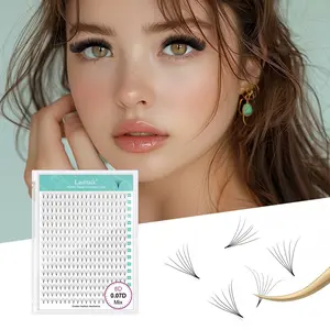 Premade Fans Eyelash Extensions, Cosmetic Eyelash Extension, 1 Box Mixed Length Individual False Eyelashes, Eyelash Clusters, Professional Eye Makeup Accessories for Women