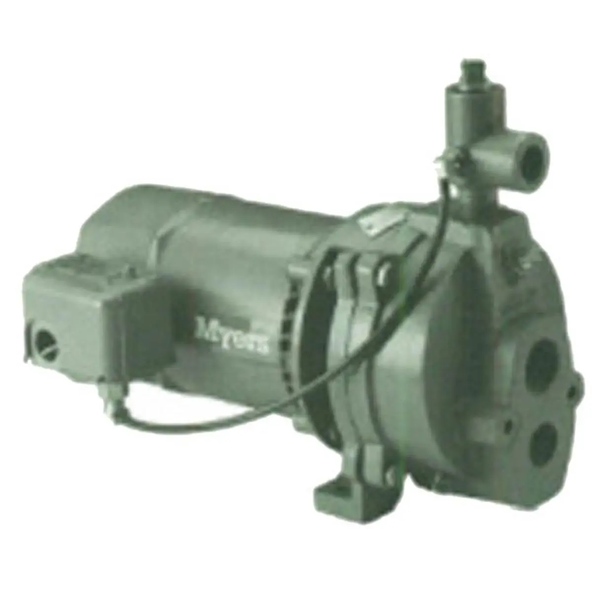 212 MAIN Flotec & Pentair 0.75 HP Deep Well Jet Pump - Stainless Steel Pump for Boating, Water Sports