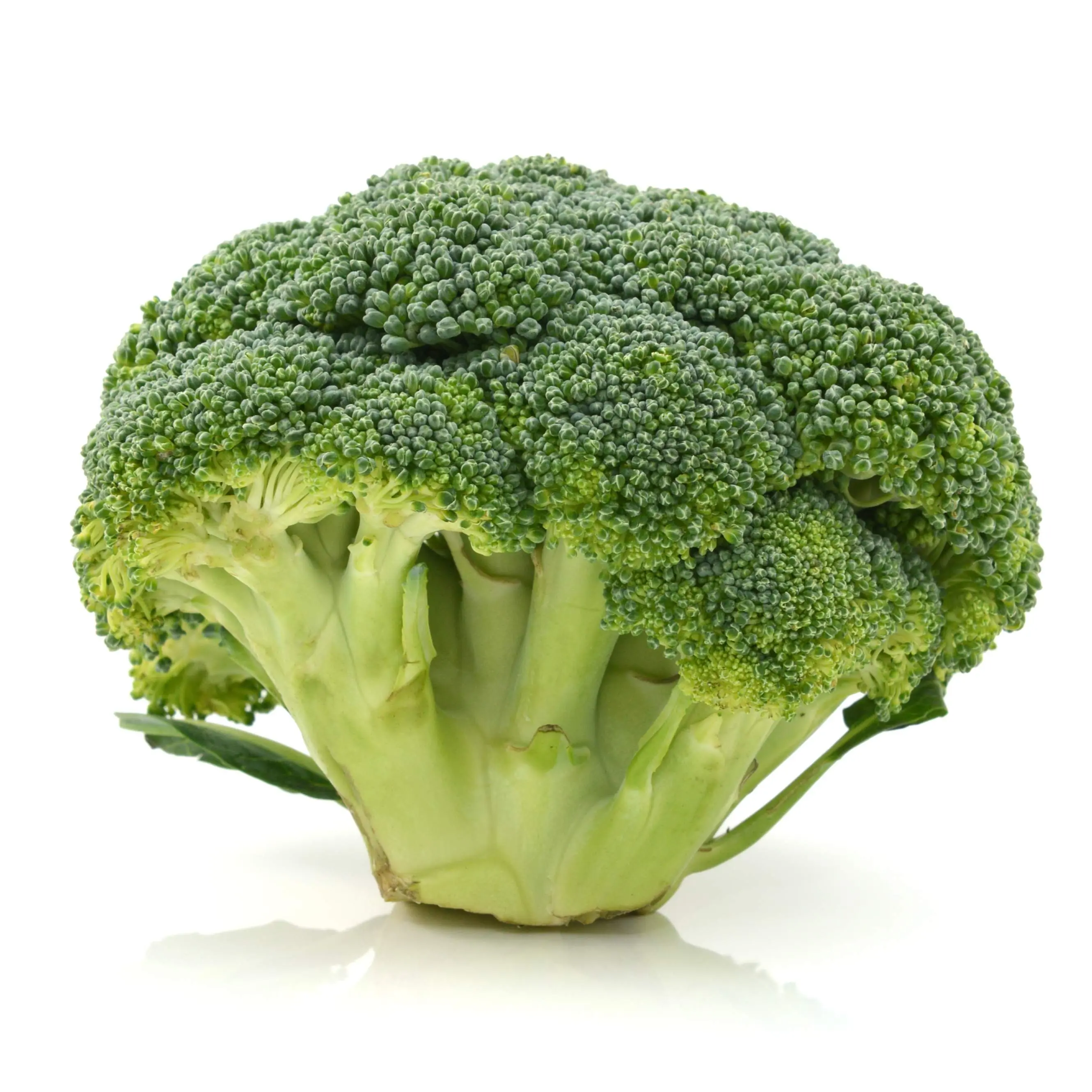 Green Sprouting Calabrese Broccoli (Brassica oleracea var. italica 'Green Sprouting Calabrese') Organic Seeds – Italian Heirloom, Tender Florets and Side Shoots
