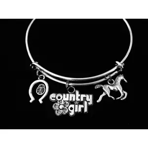 Country Girl Charm Bracelet Adjustable Expandable Silver Bangle Horse Horseshoe Ladybug One Size Fits All Gift