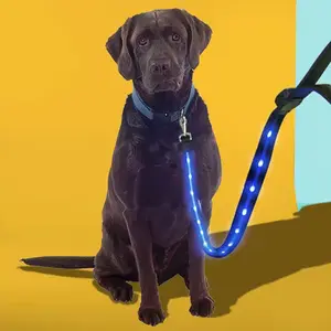 Light Up Flashing LED Leash - Illuminate Your Nighttime Walks