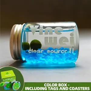 TikTok Famous Marimo Energy Bottle! Cute & Low-Maintenance Glowing Decor, Soothing Self-Care Zen Habitat for Desk & Focus, Viral Low-Light Micro Ecosystem (Includes LIVELY Moss Ball Pet)