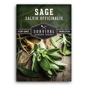 Culinary Sage Seed - Grow Your Own Herbs for Cooking