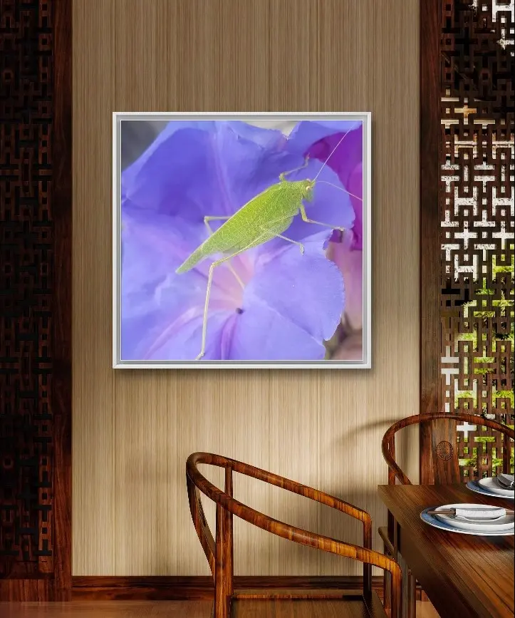 Original Photo Name 'Stick on Fancy' 20x24 Print Poster Glossy White Paper