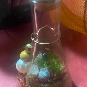 Mini terrarium jar Bottles