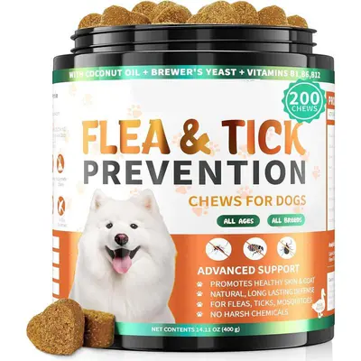 Glide Do Rollies Tick Do New Arrivals Rolex Tick