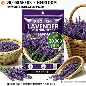 English Lavender Seeds 20000 Heirloom Non-GMO for Planting – Grow Lavender Farm Indoor Outdoor Fast Sprouting for Beginners