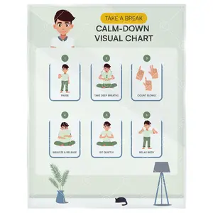Calm Down Routine Chart
