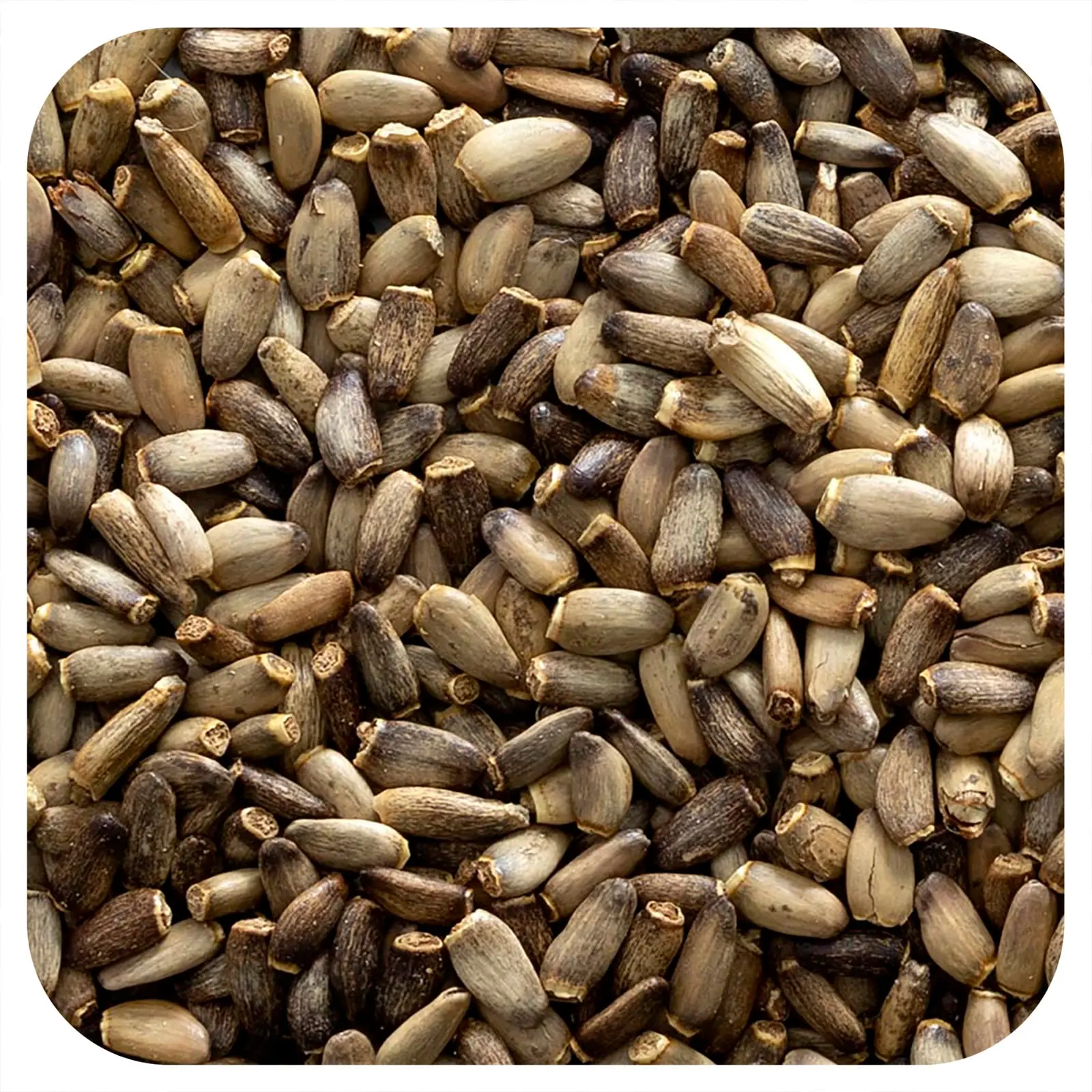 Frontier Co-op Milk Thistle Seed, Whole, 16 oz (453 g)