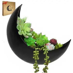 Black Wall Planter - Window Planter - Hanging Moon Planter - Boho Hanging Planters for Indoor Plants, Succulents, Air Plant, Cactus, Faux, Artificial Plants -Witchy Gifts for Women, Birthdays,Plant Lovers