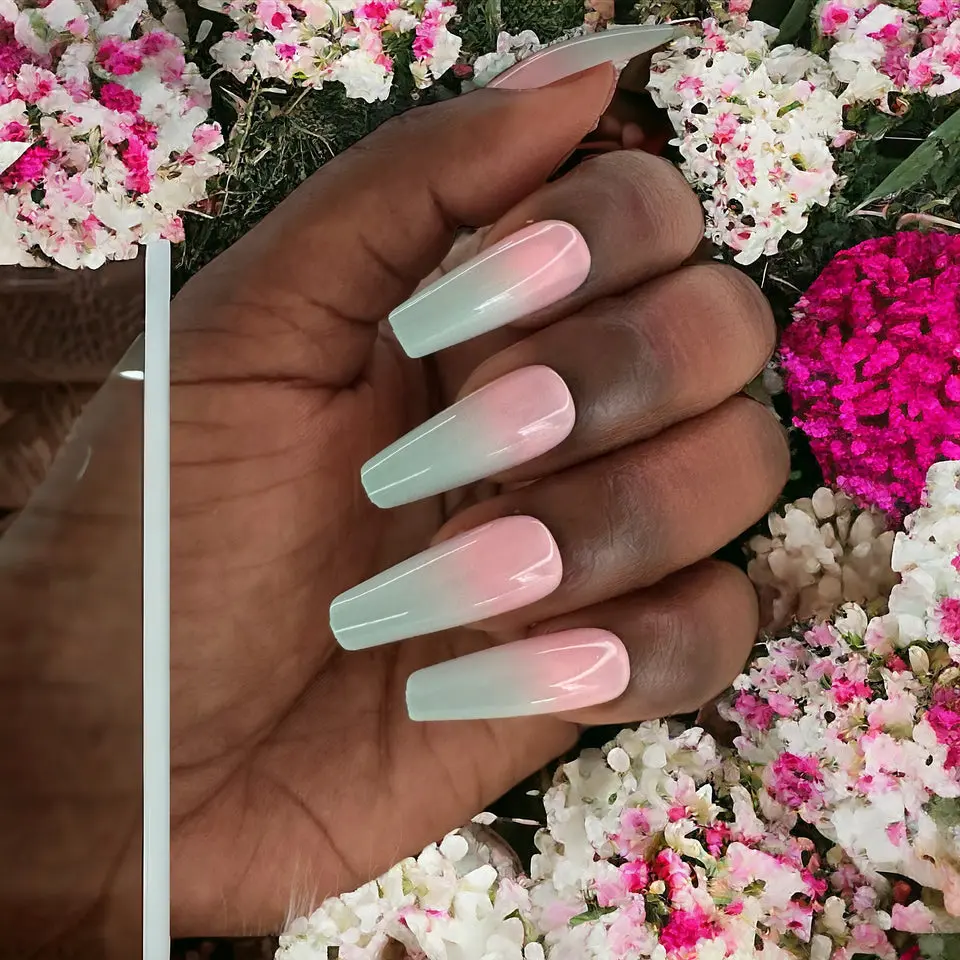 Nikki | long coffin shape press-on nail