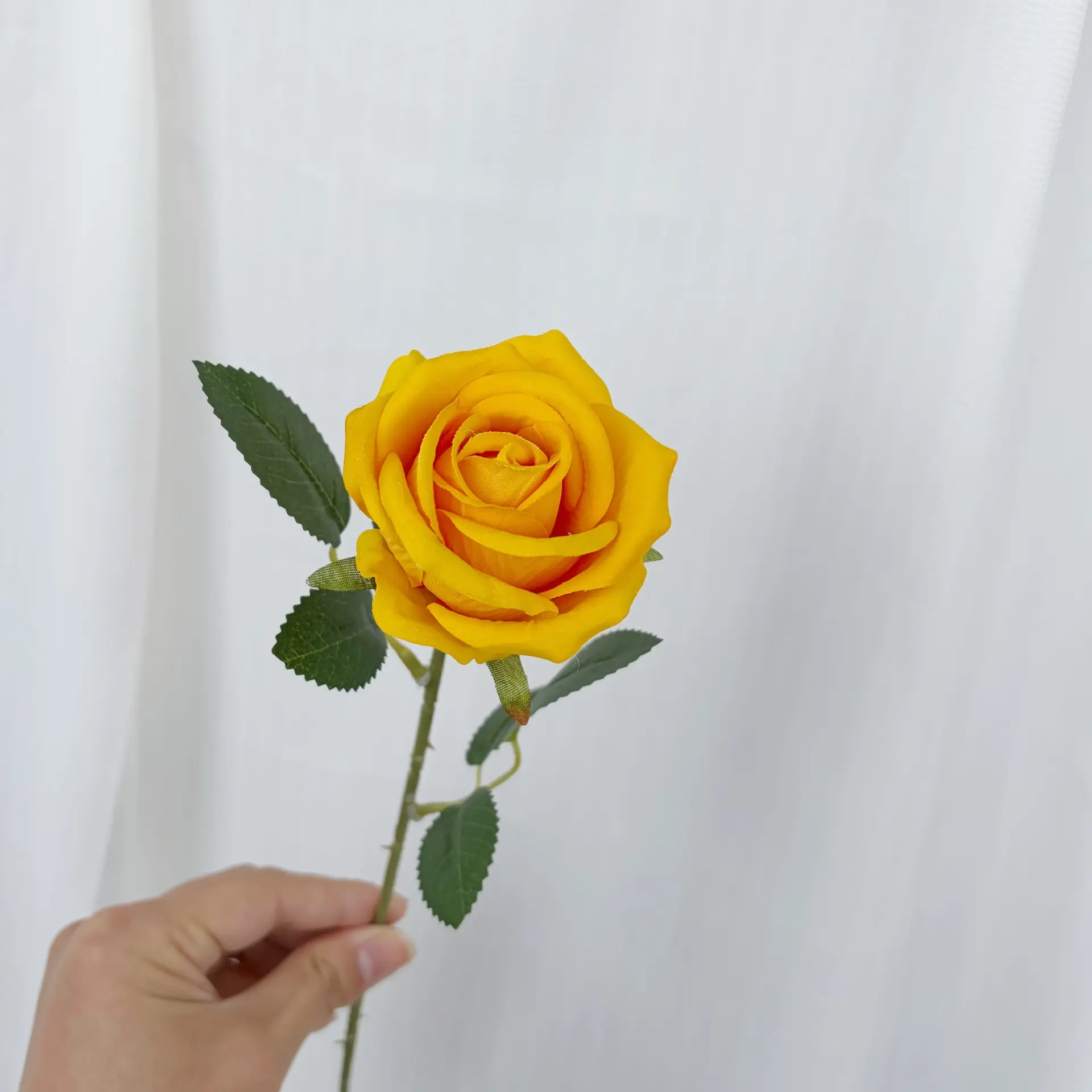 Velvet rose yellow (7.5cm)