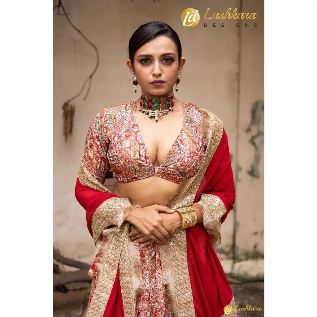 Lushkara Cotton Silk W/Thread Embroidery ; Georgette Shawl With Heavy Lace & Latkans (Red)