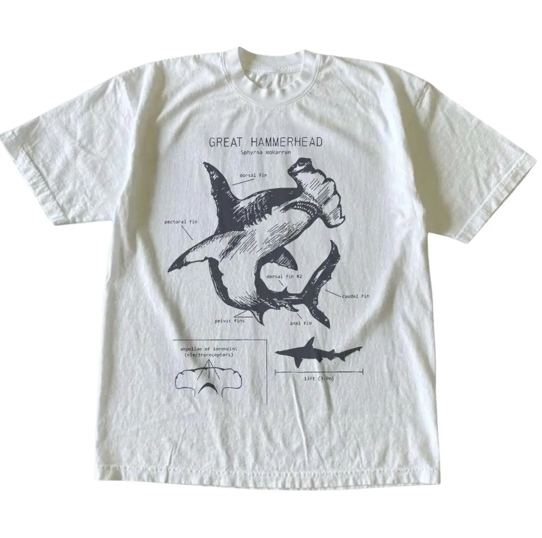 Great Hammerhead Shark Anatomy T Shirt For Men And Women Unisex Short Sleeve Crew Neck Vintage Marine Biology Casual Tee For Ocean Lovers Beach Trips And Everyday Wear