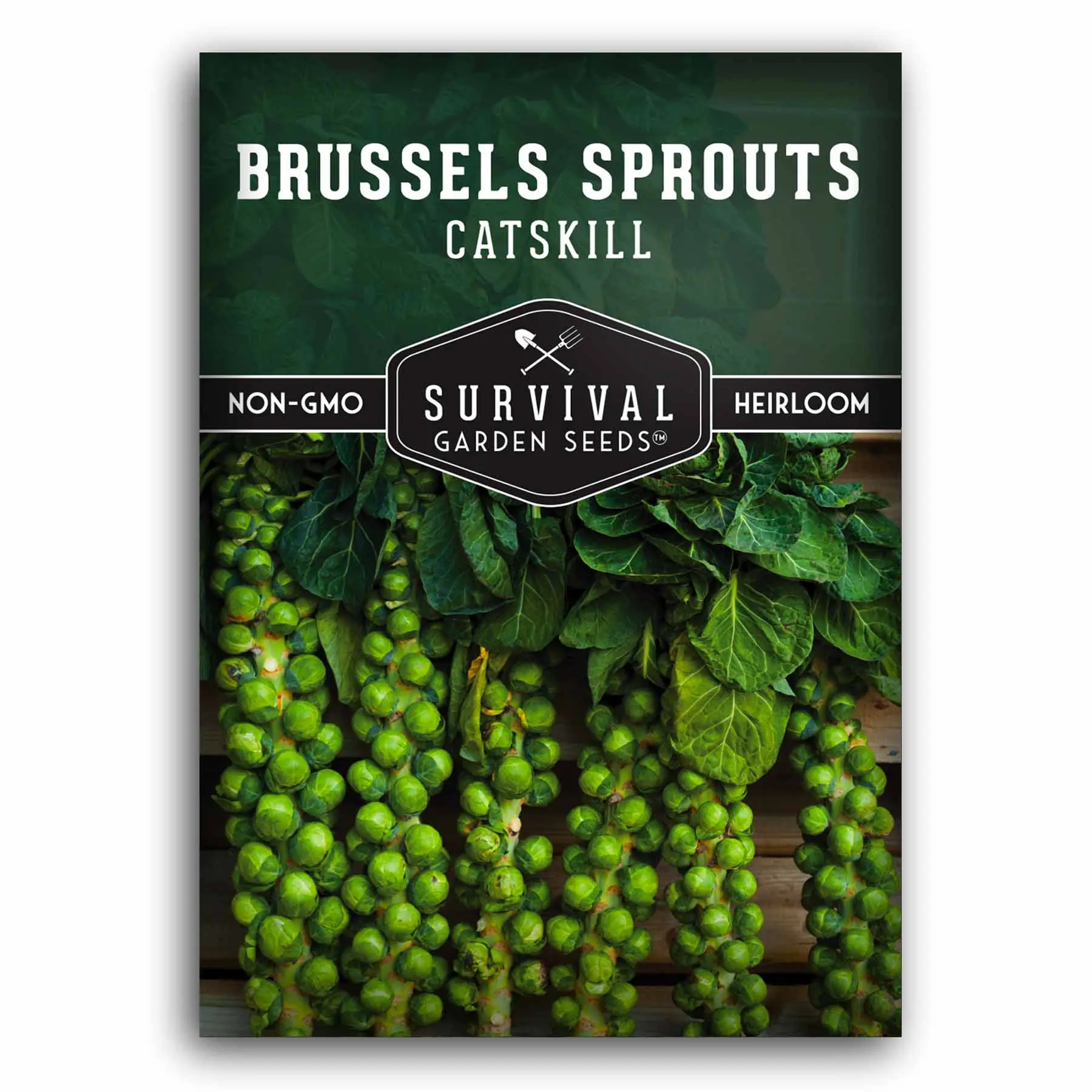 Catskill Brussels Sprout Seeds – Heirloom, Nutty-Sweet Flavor