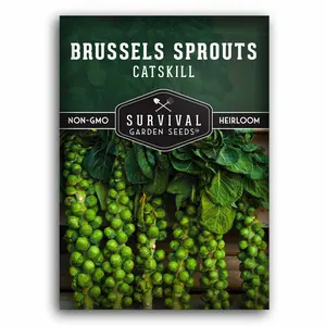 Catskill Brussels Sprout Seeds – Heirloom, Nutty-Sweet Flavor