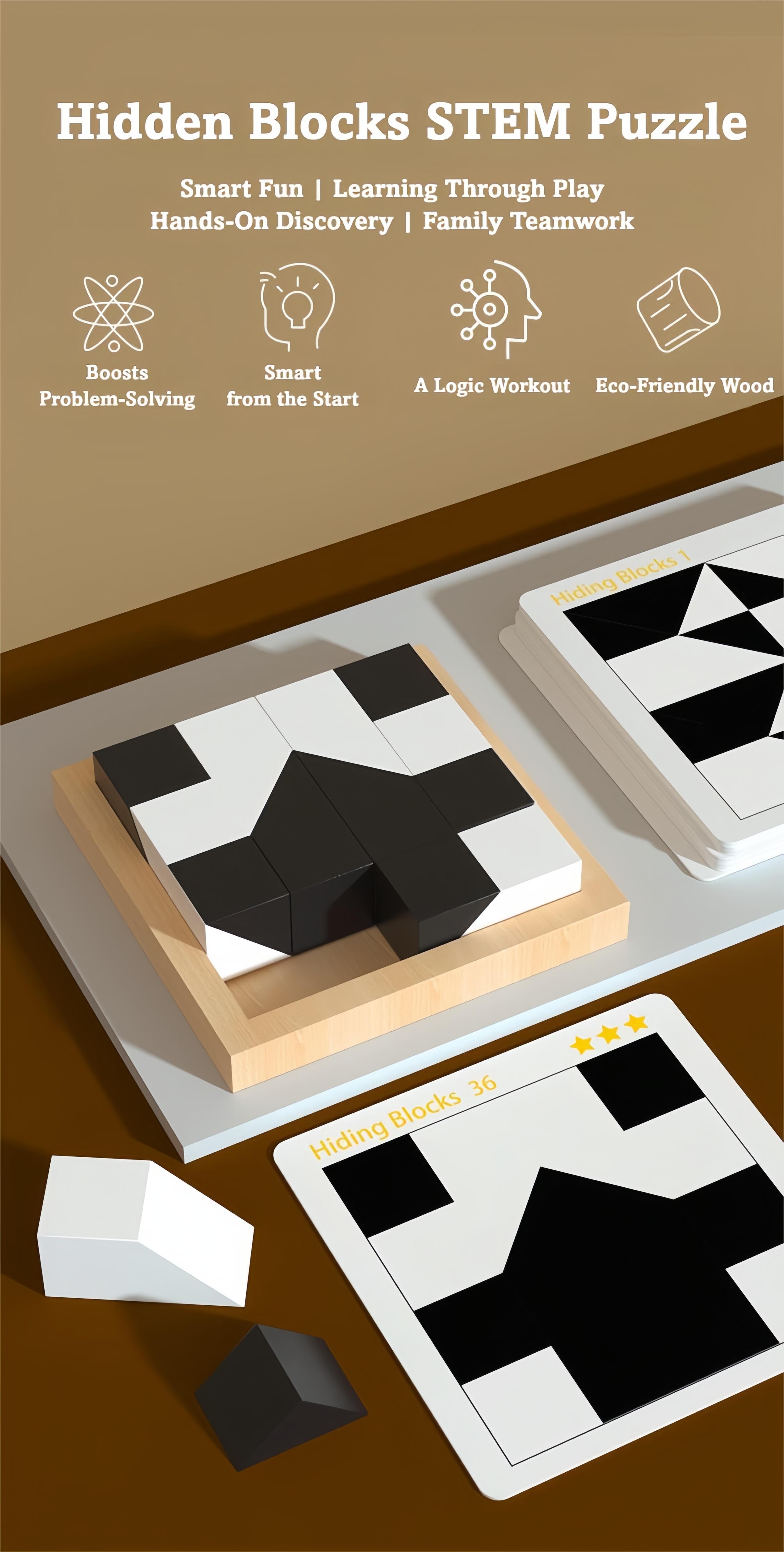 Hidden Blocks Brain Builder STEM Puzzle