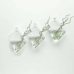 3-Pack Glass Wall Vase Rhombus Design Hanging Indoor Planters - Stylish Wall Mounted Terrariums for Home Decor
