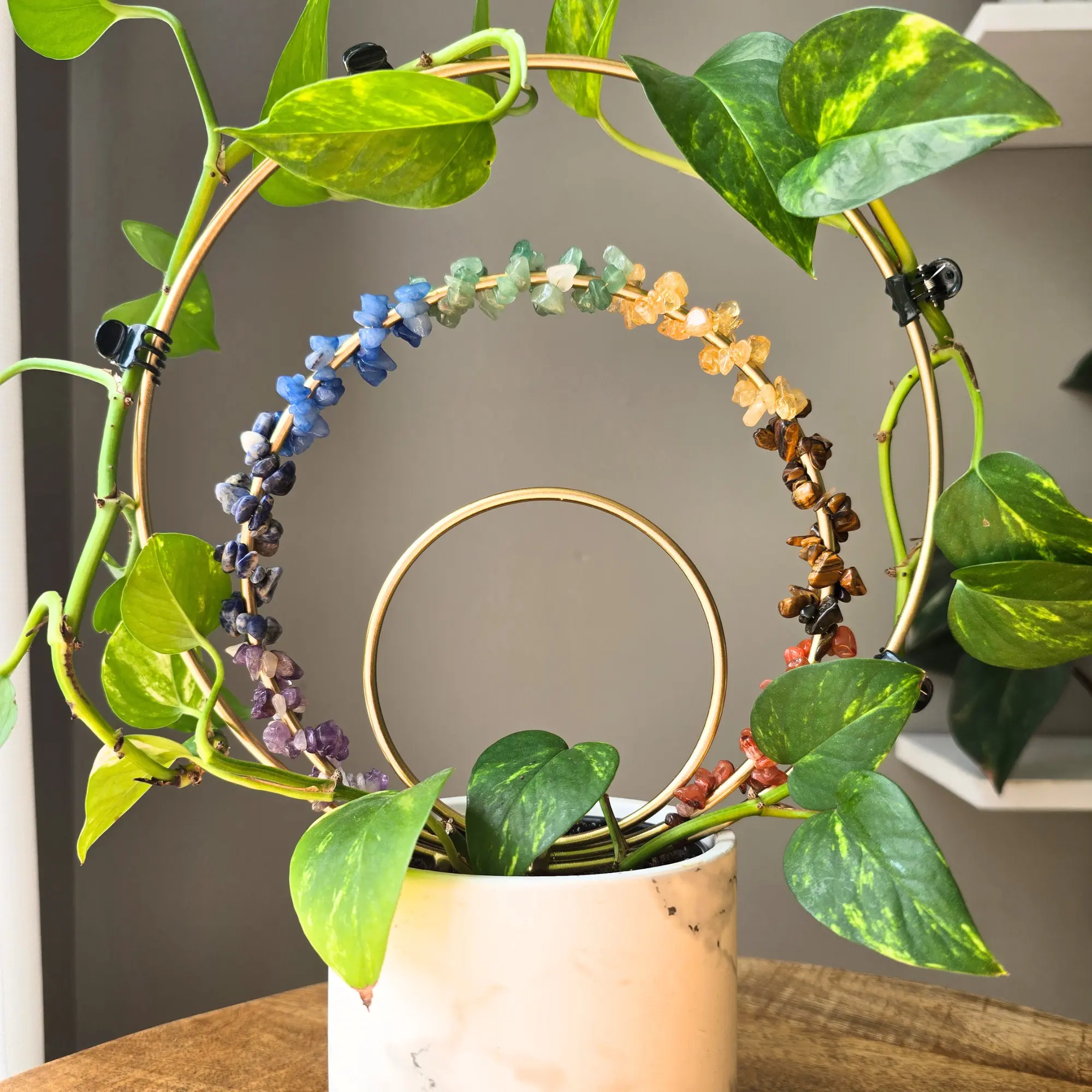 Triple Loop Trellis