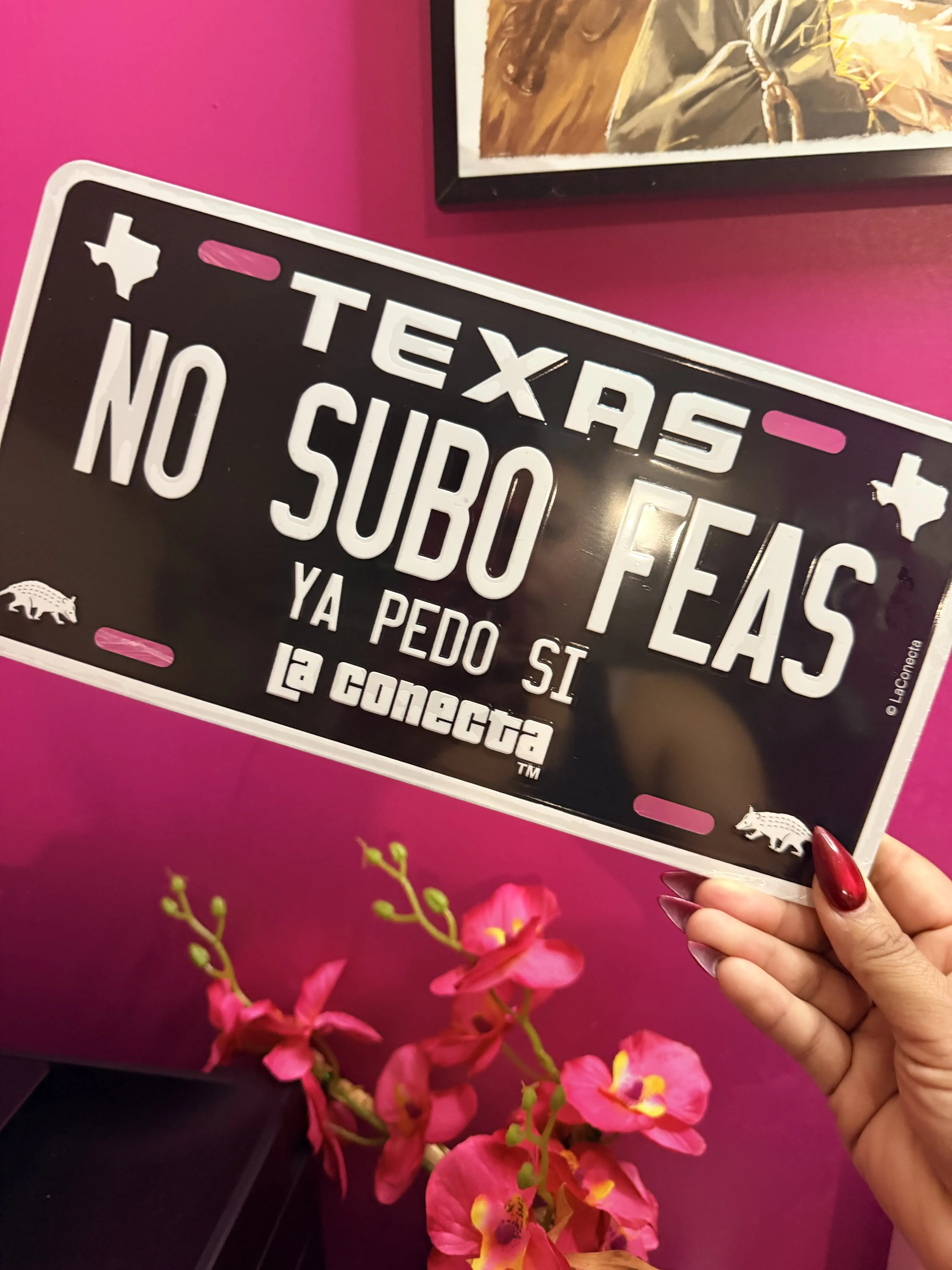 No subo feas novelty plate