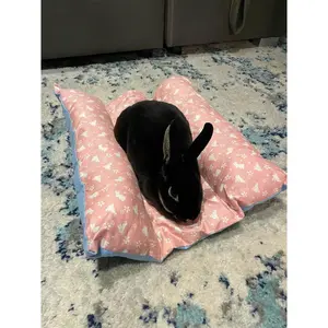 Bunny Flop Bed, Loaf Rabbit Bed, Lounger Bed and Pillow Bed, Cuddle Cushion for Bunny Rabbits. Comes with Ice Tray Pocket for Summer Cooling