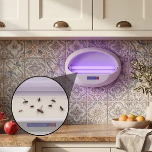 Silent Indoor Fly Trap & Fruit Fly Killer, Fly Zapper for Kitchen, Wall Mounted UV Light Bug Catcher with Sticky Glue Boards, Chemical-Free Gnat & Mosquito Trap for Home, Pet Safe