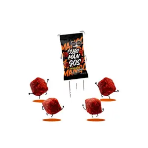 Akipika Cubimangos 1.76 oz – Spicy Mango Chili Cubes Pack of  1/8