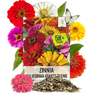Seed Needs California Giants Zinnia Seeds for Planting - Annual Cut Flowers to Attract Pollinators to a Butterfly Garden (Pink, Yellow, Purple, Red, Orange, Green, White and Bi-Color Blooms)