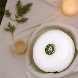 Starry Night String Lights  Portable Disc Lamp for Camping/Garden Decor Dreamy Glow String Lights  with Rechargeable Disc Base - Outdoor Camping Ambience