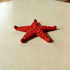 1pc Easter | Starfish Drainer! 3.94inch Starfish-Shaped Design, It Can Hold Cups for Draining While Also Serving As a Small Desktop Decoration. Keeps Cup Bases Dry And Prevents Marks on Tabletops