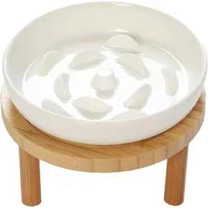 Raised Slow Feeder Cat Bowl, 5.9 Inch Wide Shallow Ceramic Elevated Glass Food Bowl Puzzle Feeders, Anti Vomit Cat Dish, Whisker Friendly Pet Plates Feeding Station for Indoor Cats, Kitten(1 Set)