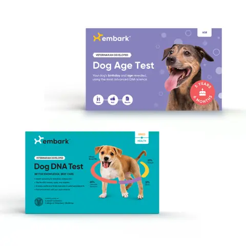 Dog DNA Test Bundle: Breed + Health Test and Dog Age Test
