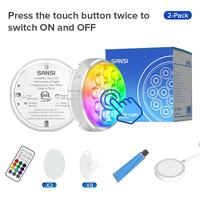 Wireless Charging Pool Light 2-pack