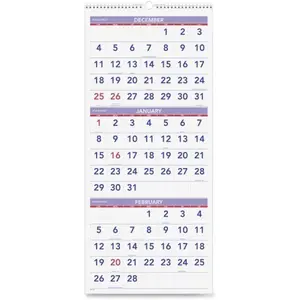 SP Richards AAGPM1128 12 x 27 in. 3 Month Reference Vertical Wall Calendar