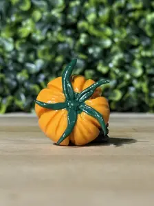 Whimsical Hand-Made Art Magnets Heirloom Tomato Orange